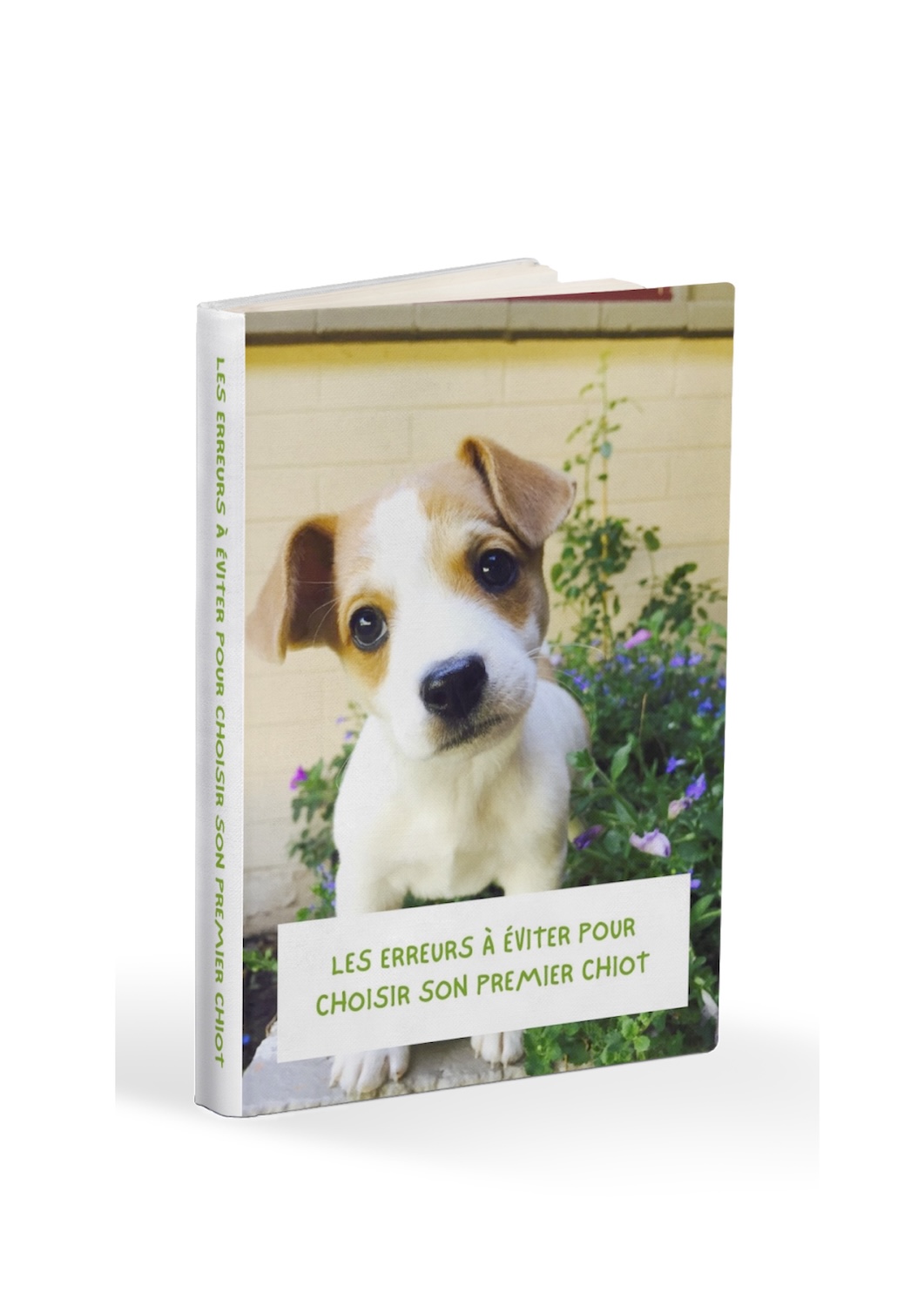 ebook