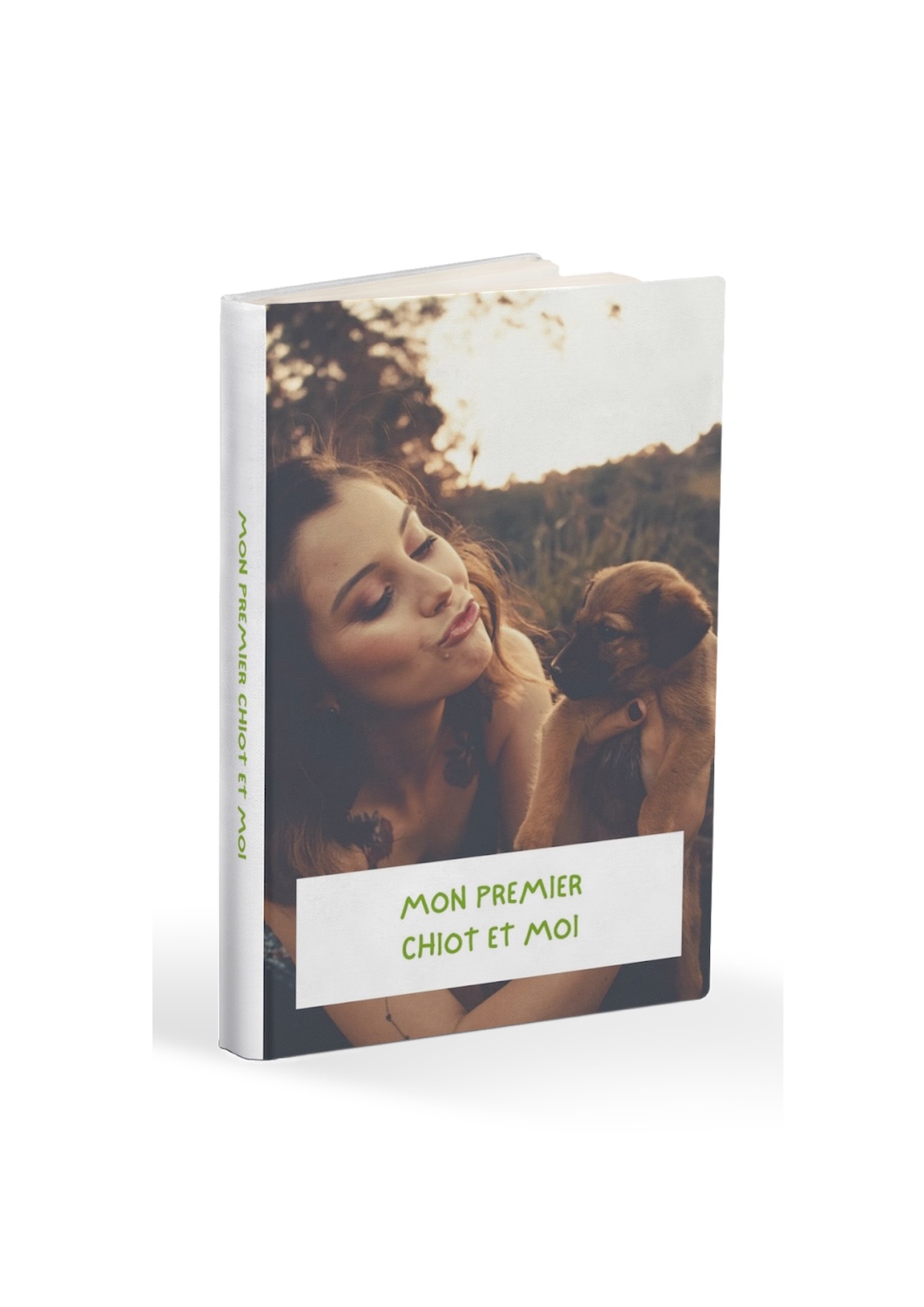 ebook