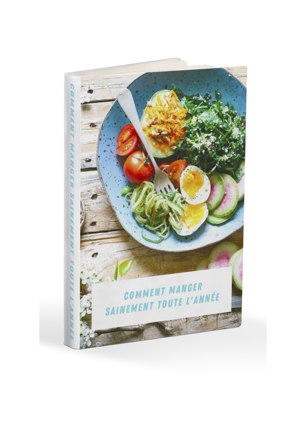 ebook