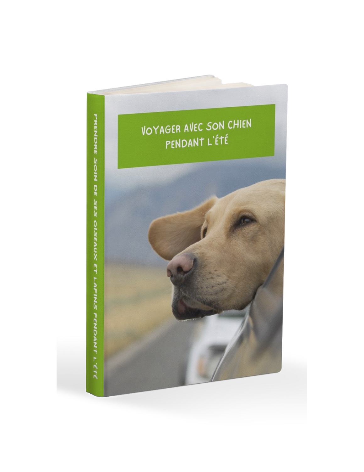 ebook