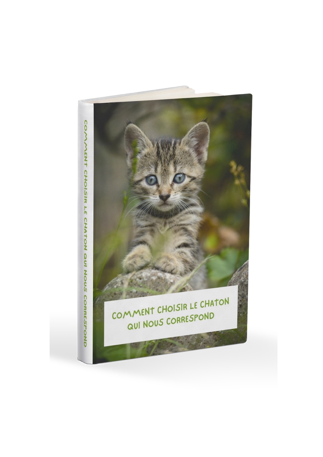 ebook